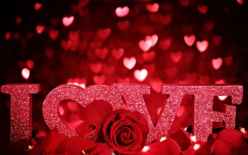 Celebrate Valentines Day in Iasi